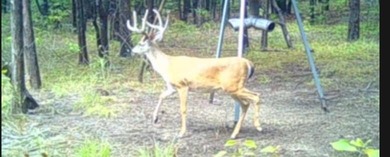 Lake Tawakoni Acreage For Sale in Quinlan Texas