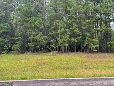 Great level lot located in the Lake Forest Plantation - photo 4