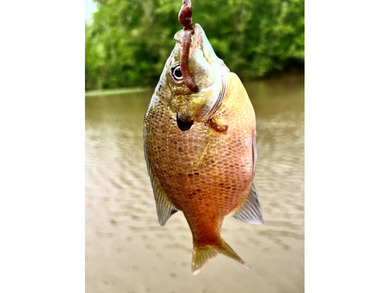 Looking for a hunting, fishing, and outdoor-loving oasis that is - photo 15