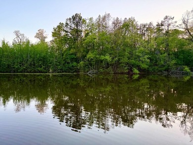 Looking for a hunting, fishing, and outdoor-loving oasis that is - photo 16