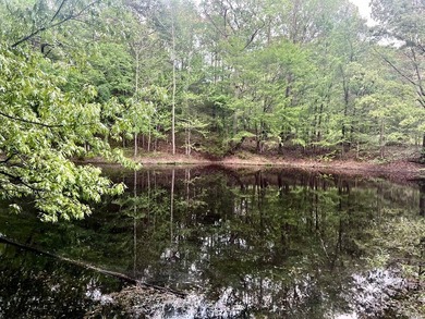 Looking for a hunting, fishing, and outdoor-loving oasis that is - photo 17