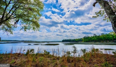 Sadlers Creek Bluff at Sheffield Island is an exceptional - photo 1