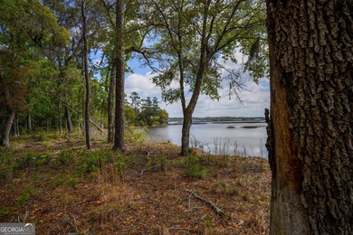 Sadlers Creek Bluff at Sheffield Island is an exceptional - photo 2