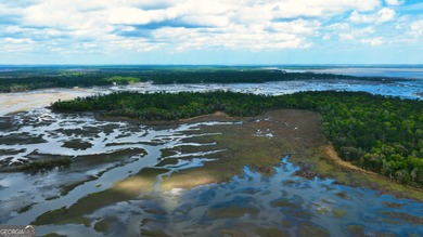 Sadlers Creek Bluff at Sheffield Island is an exceptional - photo 5