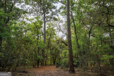 Sadlers Creek Bluff at Sheffield Island is an exceptional - photo 7