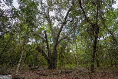Sadlers Creek Bluff at Sheffield Island is an exceptional - photo 8