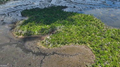 Sadlers Creek Bluff at Sheffield Island is an exceptional - photo 10