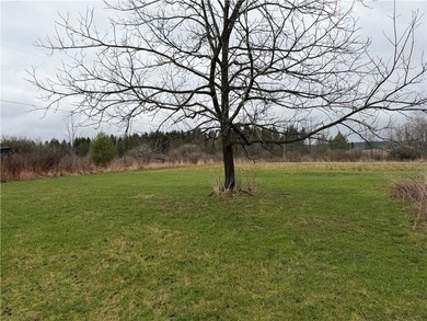 Opportunity awaits! This complete fixer-upper sits on four - photo 4