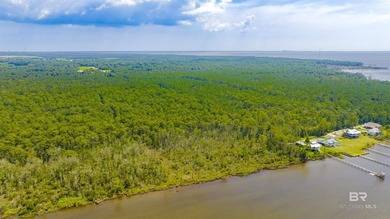 Rarely does an opportunity like this surface on Alabama's Gulf - photo 33