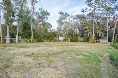 Welcome to this charming residential lot at 136 N 9th St in Lake - photo 8