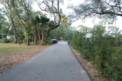 Welcome to this charming residential lot at 136 N 9th St in Lake - photo 10
