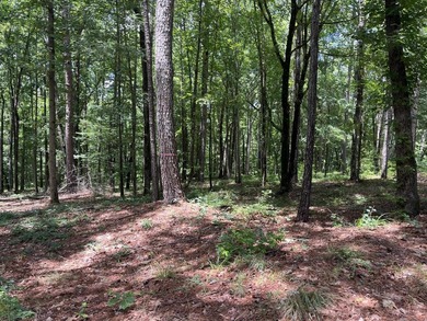 Excellent opportunity to own a lakefront homesite on Lake Oconee - photo 2