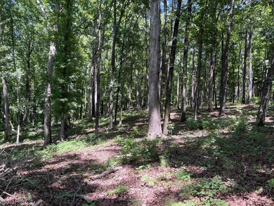 Excellent opportunity to own a lakefront homesite on Lake Oconee - photo 3