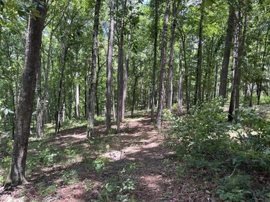 Excellent opportunity to own a lakefront homesite on Lake Oconee - photo 4