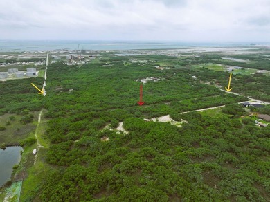 PRIME 10.6 ACRES IN INGLESIDE - IDEAL FOR RESIDENTIAL - photo 6