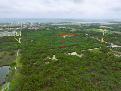 PRIME 10.6 ACRES IN INGLESIDE - IDEAL FOR RESIDENTIAL - photo 7