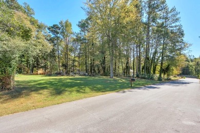 Swan Lake Lot For Sale in Stockbridge Georgia