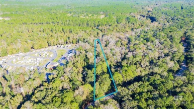 Lake Lot For Sale in Robertsdale, Alabama