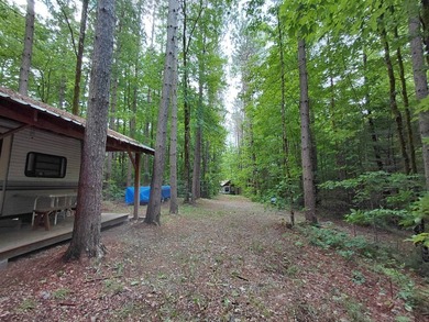 How cool is this!! 1.6 Acres of woods and privacy! You can get - photo 14