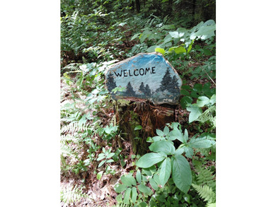 How cool is this!! 1.6 Acres of woods and privacy! You can get - photo 15