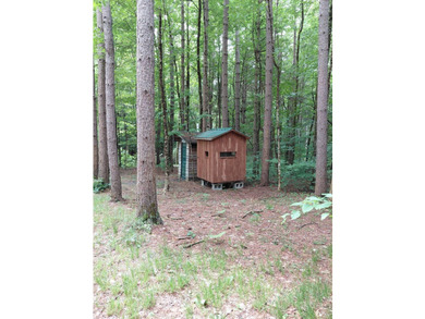 How cool is this!! 1.6 Acres of woods and privacy! You can get - photo 16