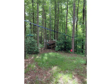 How cool is this!! 1.6 Acres of woods and privacy! You can get - photo 18