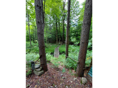How cool is this!! 1.6 Acres of woods and privacy! You can get - photo 20