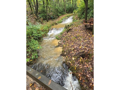 The Basin Lake Lot For Sale in Jasper Georgia