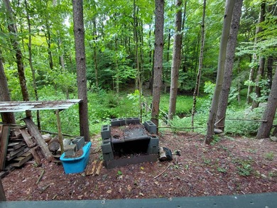 How cool is this!! 1.6 Acres of woods and privacy! You can get - photo 23