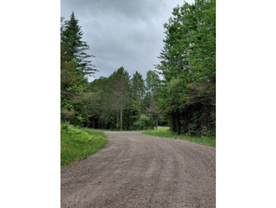 How cool is this!! 1.6 Acres of woods and privacy! You can get - photo 29