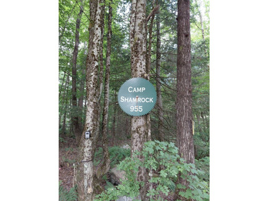 How cool is this!! 1.6 Acres of woods and privacy! You can get - photo 30