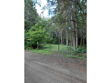 How cool is this!! 1.6 Acres of woods and privacy! You can get - photo 31