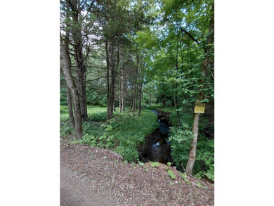 How cool is this!! 1.6 Acres of woods and privacy! You can get - photo 32