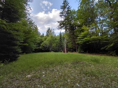 How cool is this!! 1.6 Acres of woods and privacy! You can get - photo 33