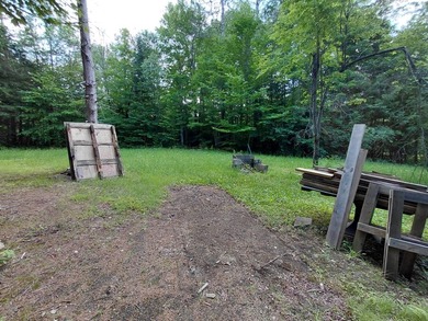 How cool is this!! 1.6 Acres of woods and privacy! You can get - photo 34