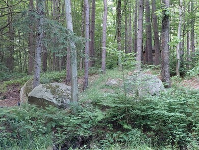 How cool is this!! 1.6 Acres of woods and privacy! You can get - photo 35