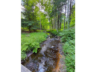How cool is this!! 1.6 Acres of woods and privacy! You can get - photo 38