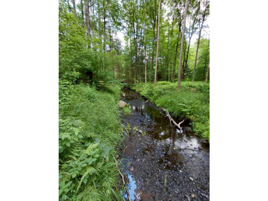 How cool is this!! 1.6 Acres of woods and privacy! You can get - photo 39