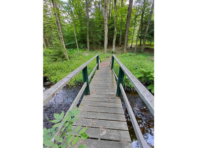 How cool is this!! 1.6 Acres of woods and privacy! You can get - photo 40