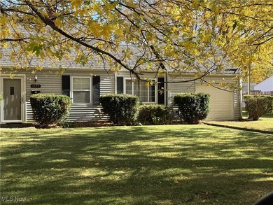 Lake Home For Sale in Madison, Ohio