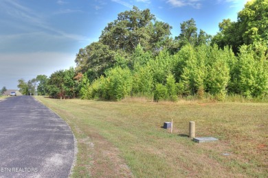 Lake Lot For Sale in Rockwood, Tennessee