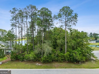 1871 Isles of St. Marys Way presents a rare opportunity to build - photo 10