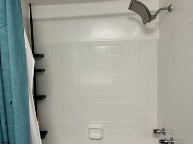 Beautifully renovated 2BR/2BA condo in Landmark Towers offering - photo 26