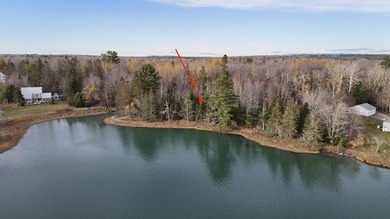 Skillings River Lot For Sale in Lamoine Maine