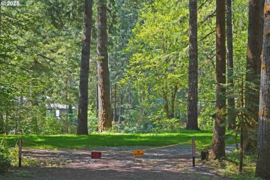 Lake Lot For Sale in Yacolt, Washington