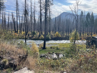 Lake Lot For Sale in Blue River, Oregon