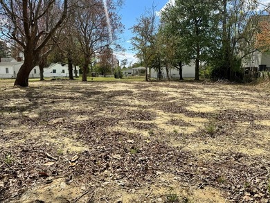 Unlock the full potential of this rare vacant lot with - photo 5