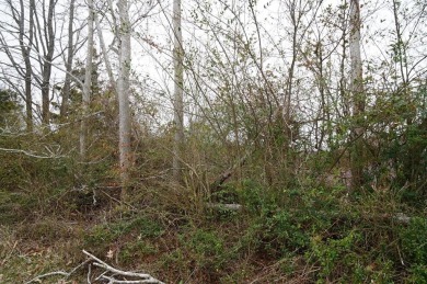 (private lake, pond, creek) Lot For Sale in Nathalie Virginia