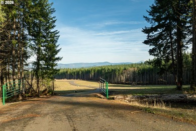 Tucked within a 10-lot rural community, this exceptional - photo 6