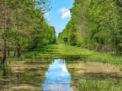 Within 1 hour of Dallas- World-class 408+/- acre hunting resort - photo 31